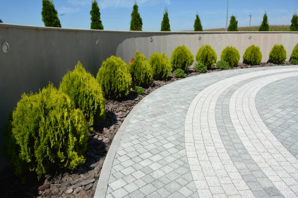 Best Driveway Repair Near Me  in Milam, TX