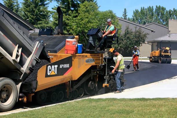 Best Driveway Paving Contractor  in Milam, TX